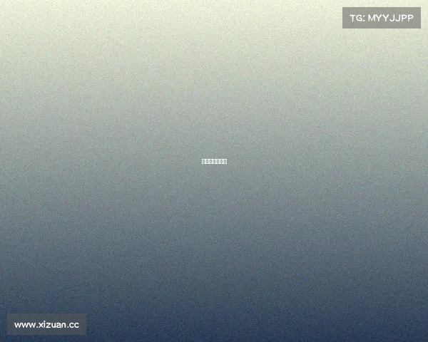 足彩代码怎么看